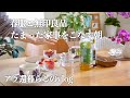 【専業主婦vlog】アラ還夫婦の御褒美ランチ/春服購入品と無印良品オススメのご紹介/一人暮らし再開でたまった家事をこなす朝/シニア犬と日々の暮らし