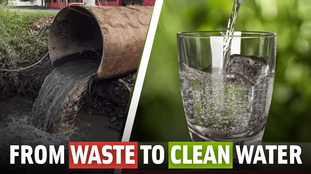 Turning Human Waste into Clean Water and Energy