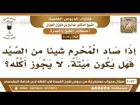 [1283 -3022] إذا صاد المحرم شيئاً من الصيد فهل يصير ميتة؟