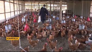 Animal feeds manufacturing association hints on establishing a commodity market exchange.