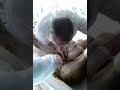 Операция паховая грыжа на новорожденном жеребёнке. (1)