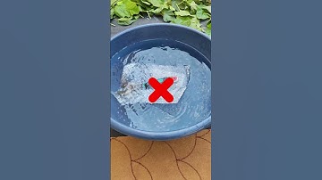 GUESS HOW MANY SHEETS OF BUBBLE WRAP IT TOOK! | #shorts  #asmr  #experiements