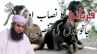 Qurbani Ka Nisab Aur Janwaroon Ki Tafseel | Hazrat Maulana Manzoor Yousuf Sahab | Fikr-e-Akhirat
