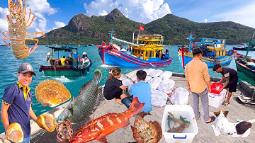 CÔN ĐẢO Đẹp Nhất Bà Rịa Vũng Tàu | Điểm Đánh Bắt Nổi Tiếng Của Ngư Dân