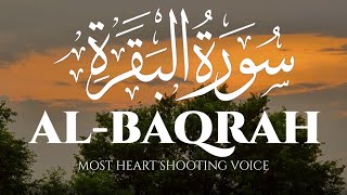 Surah Al-Baqarah Full [Heart Touching Recitation] | Powerful Protection & Blessings For Home