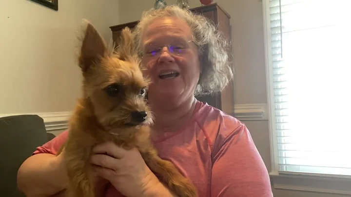 Cause-N-Dog Rescue