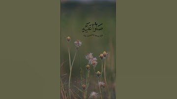 ( إن الله وملائكته يصلون على النبي ) بصوت القارئ || علي عبدالسلام ||