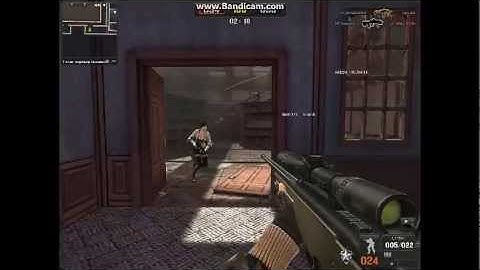 Point Blank L115a1 Show