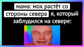 а куда идти тикток ¦ подборка мемов