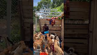 You may scroll with out a s donation and left our dogs without Sunday food ❤️‍🩹❤️‍🩹❤️‍🩹😭😭😭💔💔