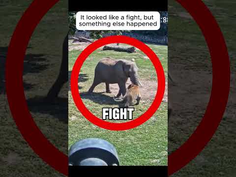 This Wasn T The Fight People Thought It Would Be