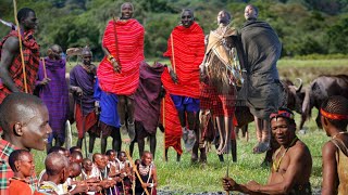 Datoga Tribal Dance. The Neighboring Tribe of Hadzabe