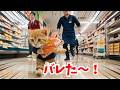 サーモンを持って逃げた猫の結末　The Ending of a Cat That Ran Away With Salmon