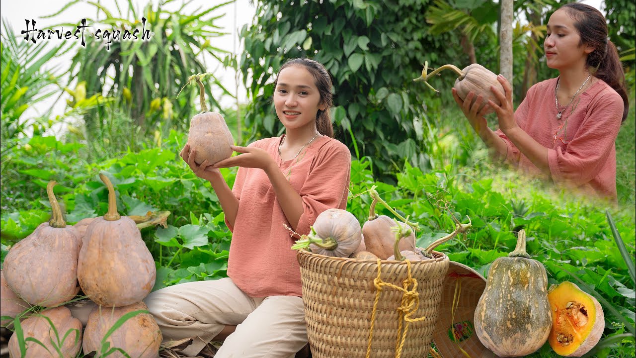Harvesting Pumpkin, Delicious Food Recipes With Pumpkin & Meat | Tiểu Phi Daily Life