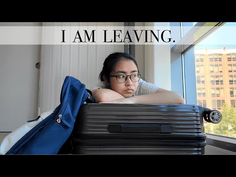 After Uni Updates | Future Plans | Graduating from the University of Manchester