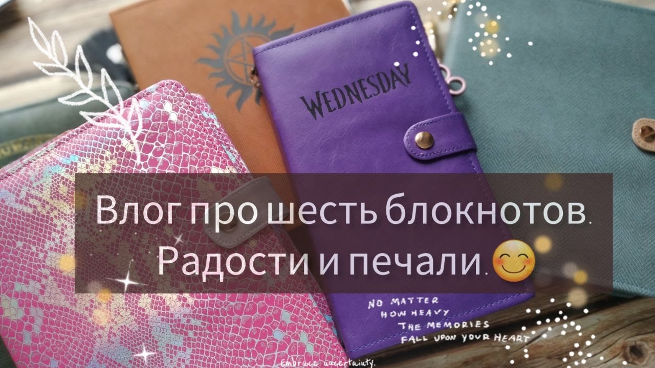 Влог про шесть блокнотов. Радости и печали).