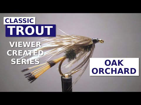 Fly Tying Josh Wilson's Oak Orchard - Soft Hackled/Winged Wet Fly 