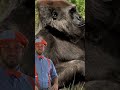 Try Copy The Animal Noises #blippi #animals