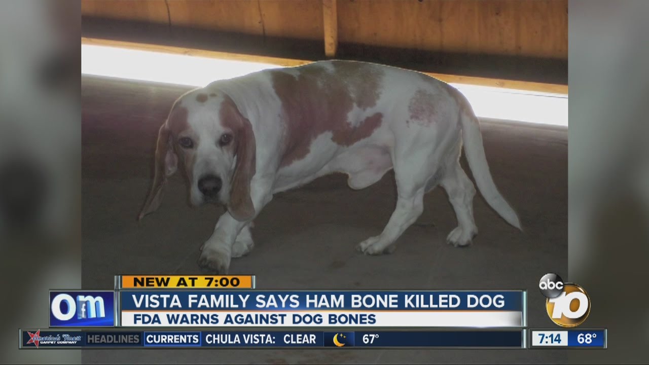 Can Ham Kill Dogs can-ham-kill-dogs