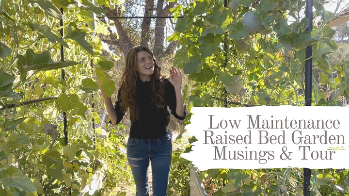 Low Maintenance Raised Bed Garden Musings & Tour