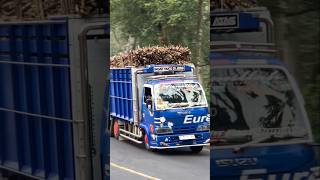 Truk Elf Muatan Tebu