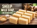 Sheep Milk Soap Recipe (Cold Process, Beginner Friendly)