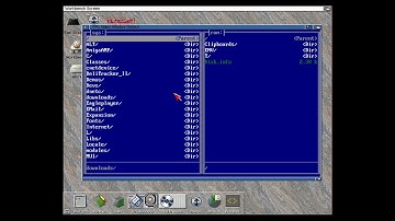 Playing around with FreePascals Video unit on Amiga