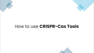How to use CRISPR-Cas Tools in Photo51