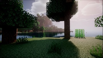 BSL vs. Complementary vs. Nostalgia vs. Solas - Shader comparison