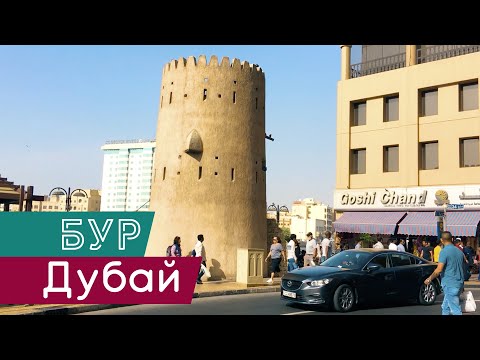 Video: Kust Dubais Kasukaid Osta
