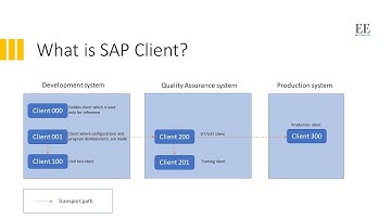 What is SAP Client | A high-level overview of SAP Client concept