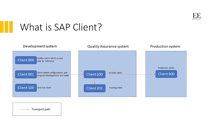 What is SAP Client | A high-level overview of SAP Client concept