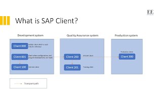 What is SAP Client | A high-level overview of SAP Client concept by ERP is Easy 7,338 views 1 year ago 8 minutes, 25 seconds