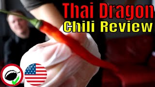 Chili Reviews - Thai Dragon VS Scotch Bonnet Thai Dragon Pepper Taste Test