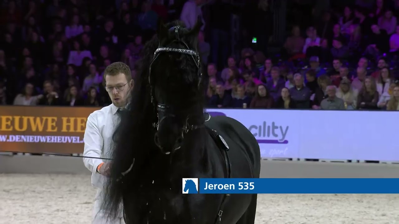 Event 6 - Inspection of the registered Studbook Stallions from abraviated examination - German