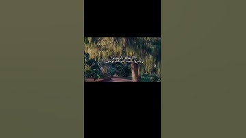 تلاوة خاشعة جميلة ارح سمعك #اكسبلور_فولو