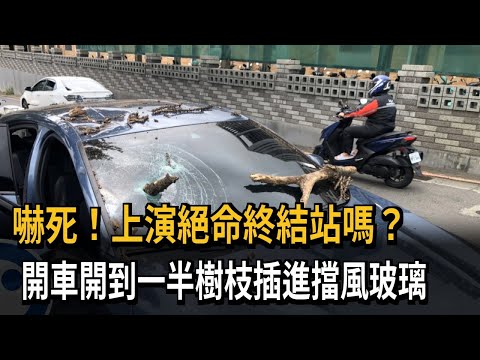 嚇死！ 開車開到一半樹枝插進擋風玻璃－民視新聞