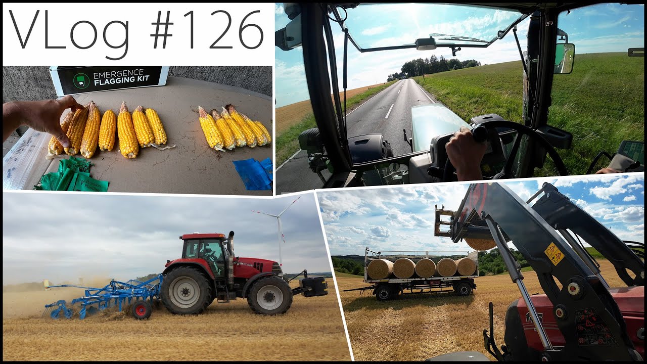 FarmVLOG#126: Ultraflach Grubbern mit dem LEMKEN KARAT 9/400 & K(l)eine Kolben am Mais?