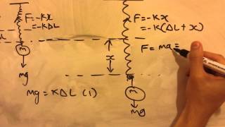 SHM Equation For A Mass On A Vertical Spring