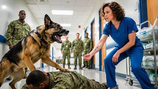The Military K9 Blocked Every Nurse Who Entered—Until He Saw the Tattoo on Her Wrist