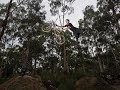 Diamond Creek Trails Midschool Jam 2018