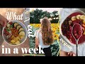 What I Eat in a Week // Vegan // Fun // Non-restrictive (6 days)