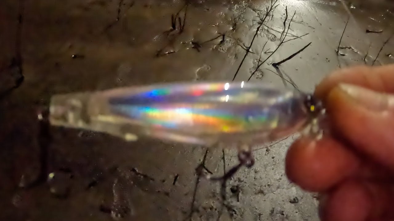 This Jerk Bait Made Me Happy | Mississippi River Fishing