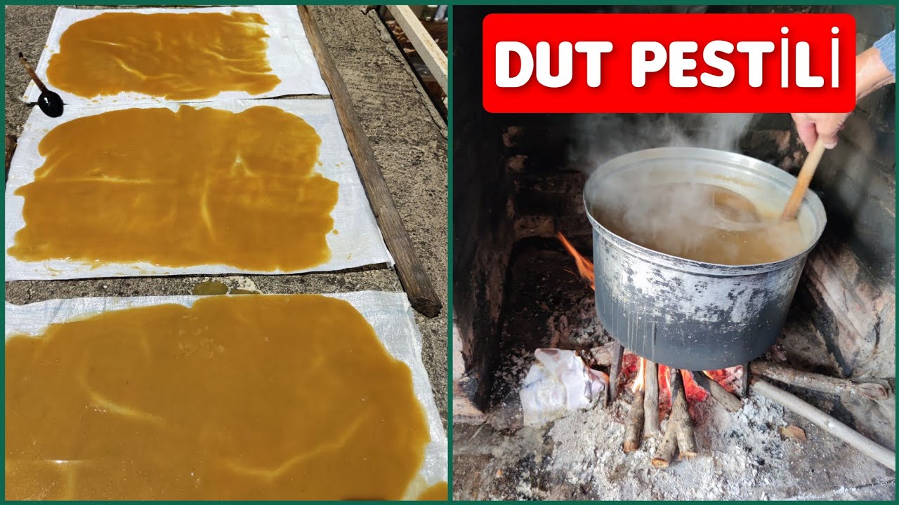 DUT PESTİLİ // DUT PESTİLİ NASIL YAPILIR // DUT PESTİLİ NASIL KURUTULUR// DOĞAL, HİÇ ŞEKER KONULMADI
