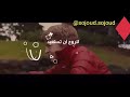 ألسنا أحق بقلب سليم ألسنا أحق بقلب سليم