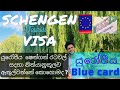 European Schengen Visa and Blue Card | යුරෝපීය ෂෙන්ගන් වීසා සහ නිල් කාඩ්පත | ஷெங்கன் விசா