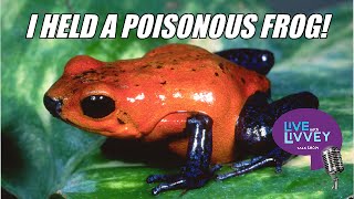 Holding Poison Dart Frog
