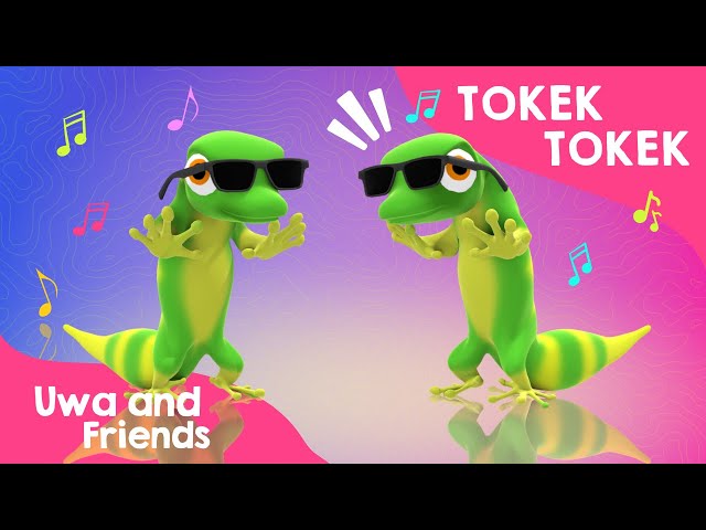 Tokek Tokek - Lagu Binatang Lucu - Lagu Anak Indonesia class=