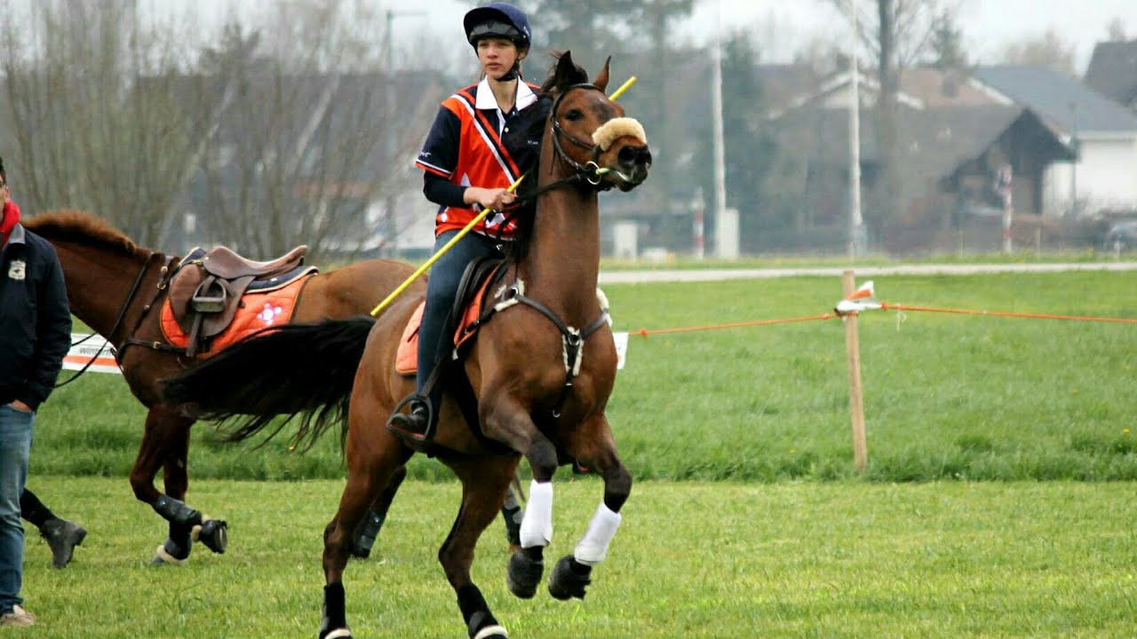 Mounted Games Swiss Championship 2019 Team Horse Spirit Laconnex