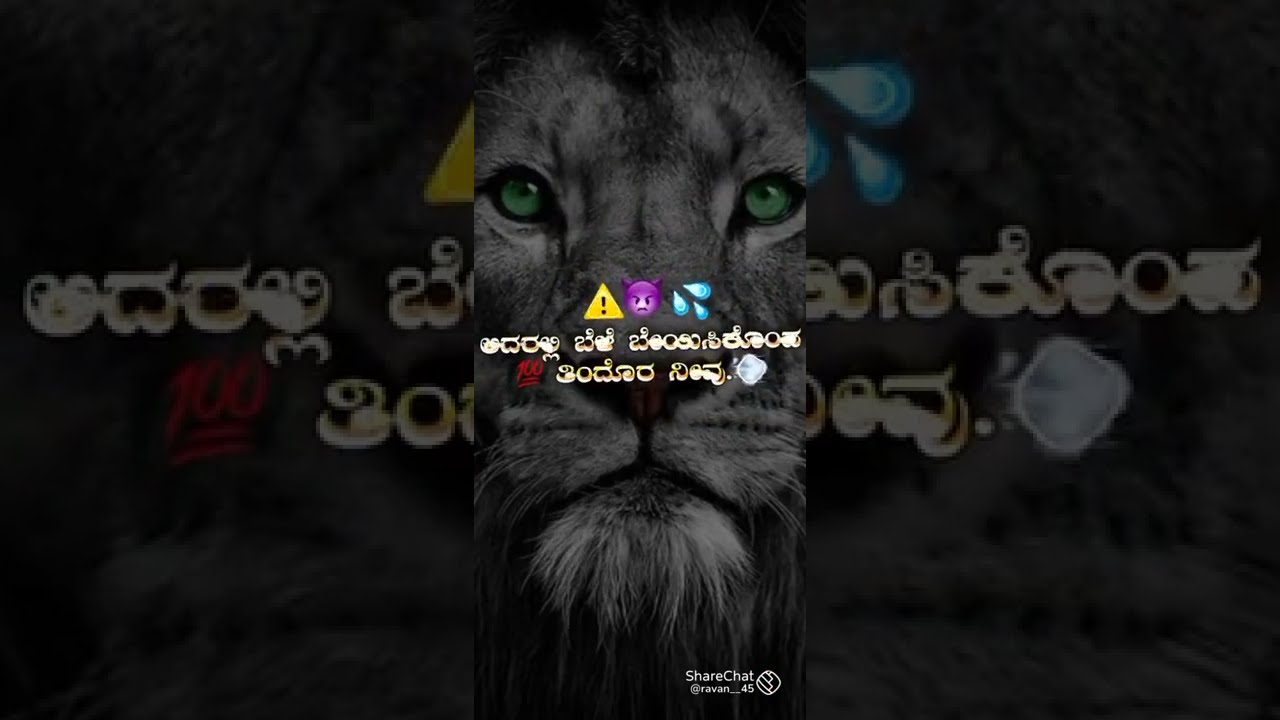 ⚠️Kannada attitude dialogue black screen whatsapp status 😈 | #Dali #Dhananjay